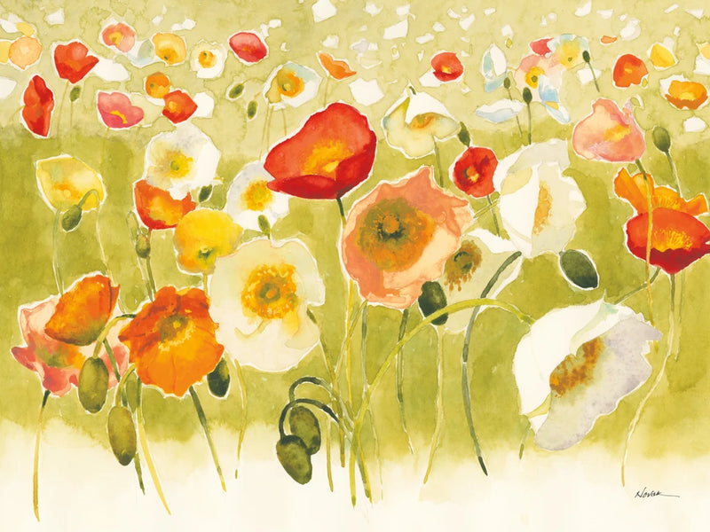 My Iceland Plot III by Shirley Novak