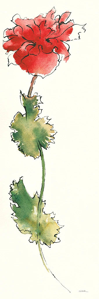 Peony Form Poppies I by Shirley Novak