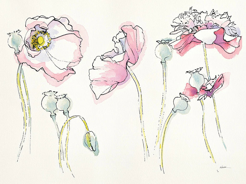 Pink Somniferums by Shirley Novak