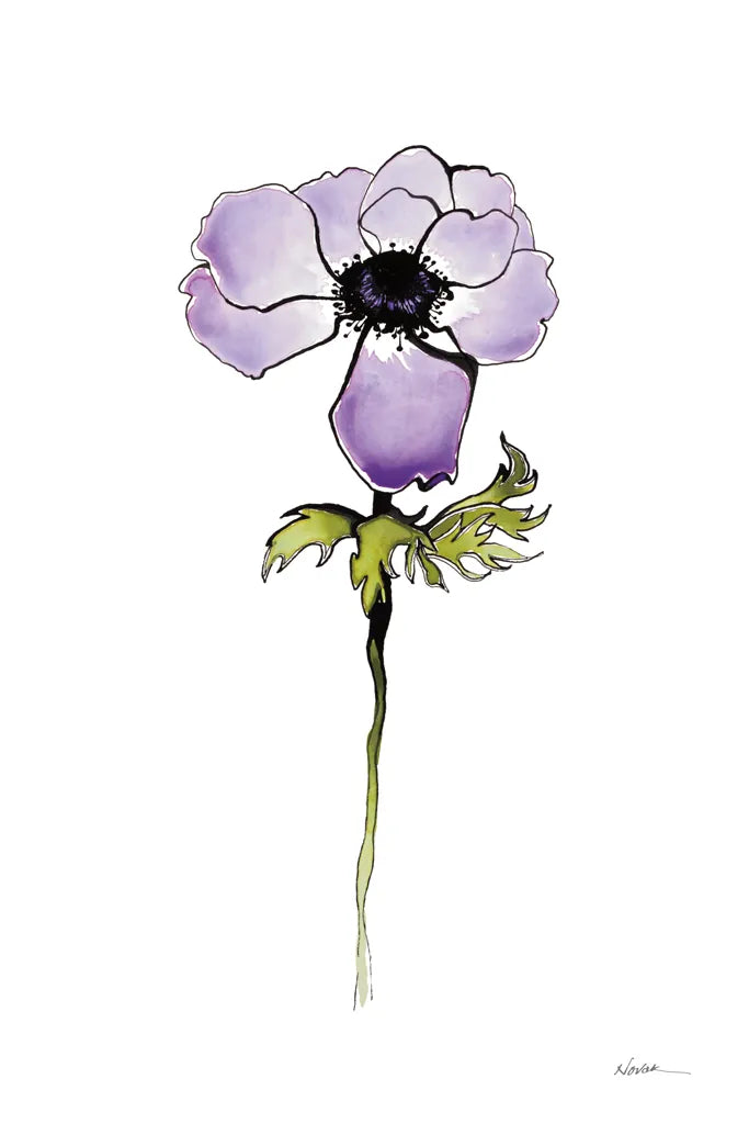 Purple Anemone I by Shirley Novak. SKU 88452h. Archival Giclee Fine art print for wall decor.