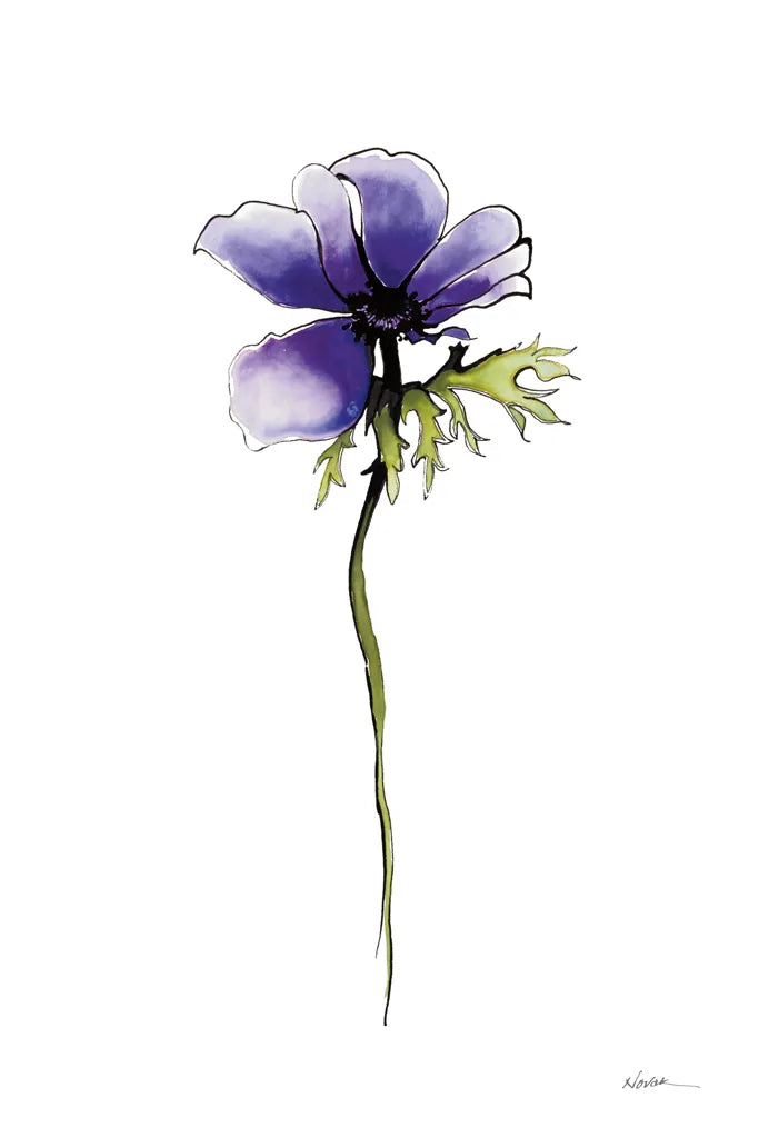 Purple Anemone II by Shirley Novak. SKU 88453h. Archival Giclee Fine art print for wall decor.