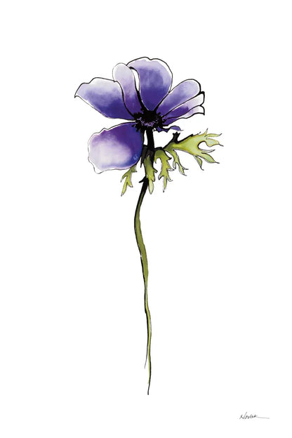 Purple Anemone II by Shirley Novak. SKU 88453h. Archival Giclee Fine art print for wall decor.