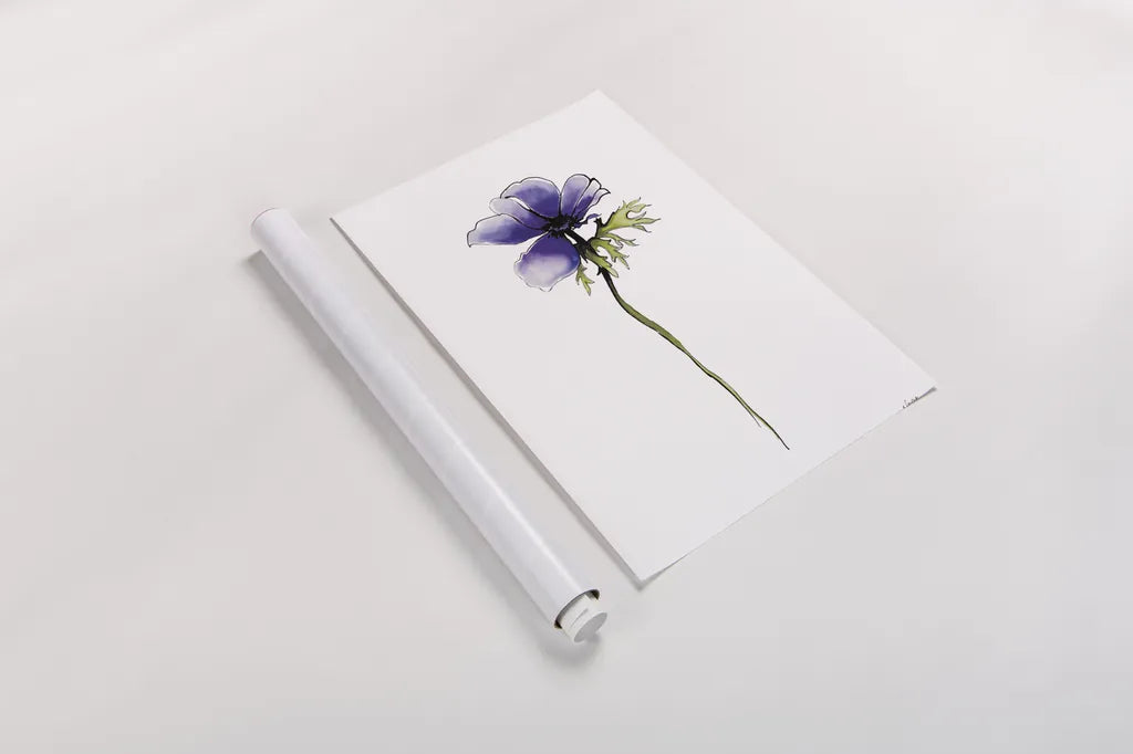 Purple Anemone II by Shirley Novak. shown as a rolled paper print. Available as archival giclee rolled canvas, fine art paper, or poster print. SKU 88453h.