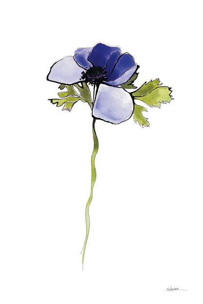 Purple Anemone III by Shirley Novak. SKU 88454h. Archival Giclee Fine art print for wall decor.