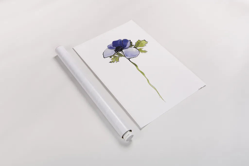 Purple Anemone III by Shirley Novak. shown as a rolled paper print. Available as archival giclee rolled canvas, fine art paper, or poster print. SKU 88454h.