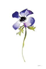 Purple Anemone IV by Shirley Novak. SKU 88455h. Archival Giclee Fine art print for wall decor.