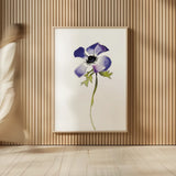 Purple Anemone IV by Shirley Novak. shown as over sized large wall art. Available as an archival giclee rolled canvas, fine art paper, or poster print. SKU 88455h.