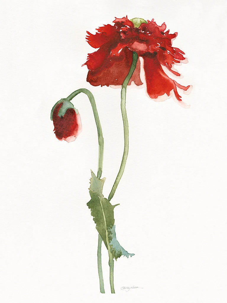 Red Somniferum by Shirley Novak