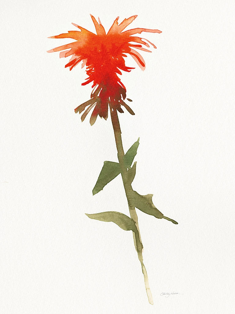 Salmon Monarda II by Shirley Novak