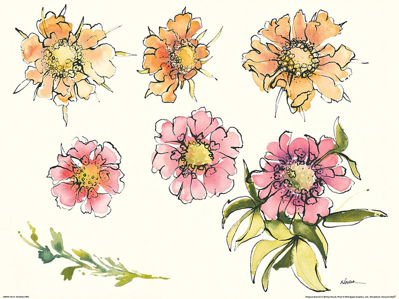 Scabiosa Bits by Shirley Novak