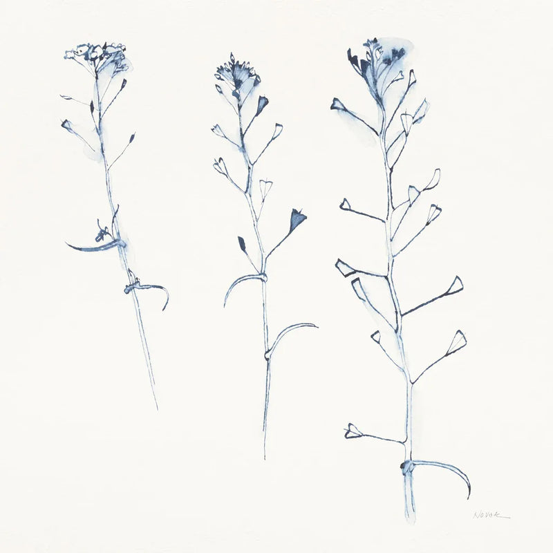 Shepherds Purse Stems I Blue by Shirley Novak. SKU 71151a. Archival Giclee Fine art print for wall decor.