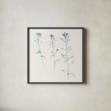 Shepherds Purse Stems I Blue by Shirley Novak. Shown in a sleek black glass frame for a contemporary gallery look. Available as an archival giclee rolled canvas, fine art paper, or poster print. SKU 71151a.