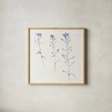 Shepherds Purse Stems I Blue by Shirley Novak. Shown in a natural wood glass frame for a timeless modern aesthetic. Available as an archival giclee rolled canvas, fine art paper, or poster print. SKU 71151a.