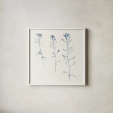 Shepherds Purse Stems I Blue by Shirley Novak. Shown in a crisp white glass frame for a clean and minimalist style. Available as an archival giclee rolled canvas, fine art paper, or poster print. SKU 71151a.