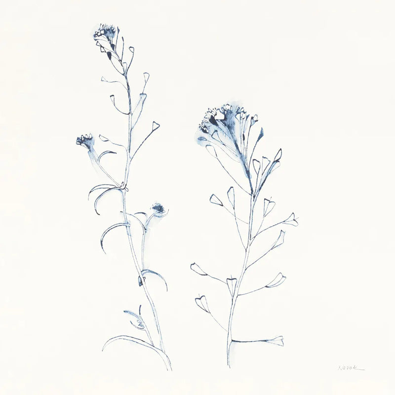 Shepherds Purse Stems II Blue by Shirley Novak. SKU 71152a. Archival Giclee Fine art print for wall decor.