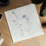 Shepherds Purse Stems II Blue by Shirley Novak. Shown as a detailed flat fine art print, highlighting archival giclee quality. Available as an archival giclee rolled canvas, fine art paper, or poster print. SKU 71152a.