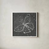 Silver Wings II by Shirley Novak. Shown in a crisp white glass frame for a clean and minimalist style. Available as an archival giclee rolled canvas, fine art paper, or poster print. SKU 73124a.