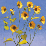 Sing Singing I by Shirley Novak. SKU 29542a. Archival Giclee Fine art print for wall decor.