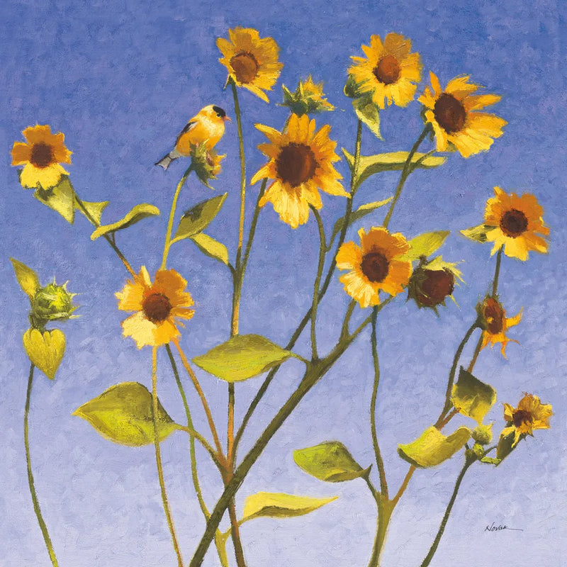 Sing Singing II by Shirley Novak. SKU 29541a. Archival Giclee Fine art print for wall decor.