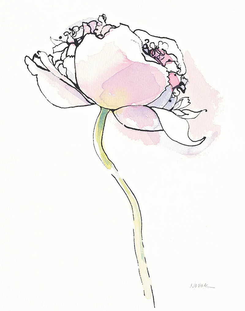 Single Pink Somniferums I on White by Shirley Novak