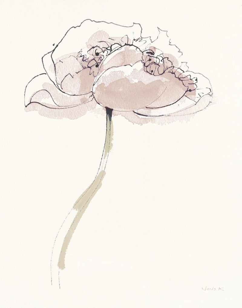 Single Somniferums II Neutral Crop by Shirley Novak