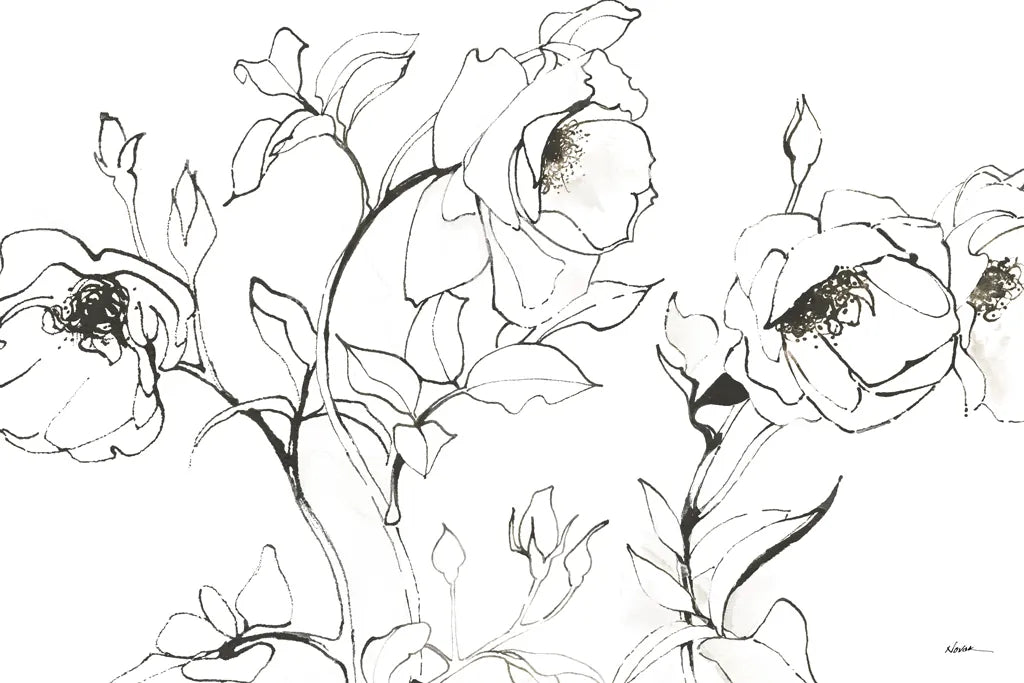 Sketch of Roses by Shirley Novak. SKU 80689i. Archival Giclee Fine art print for wall decor.