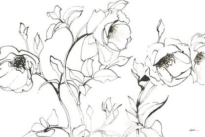 Sketch of Roses by Shirley Novak. SKU 80689i. Archival Giclee Fine art print for wall decor.