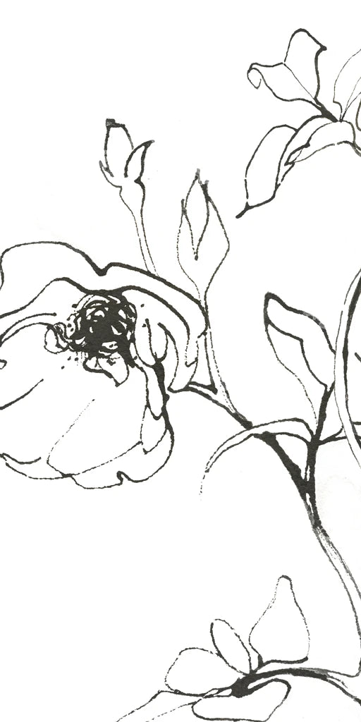 Sketch of Roses Panel I by Shirley Novak