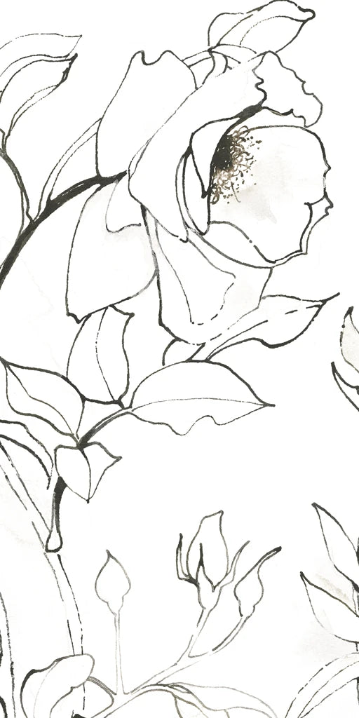 Sketch of Roses Panel II by Shirley Novak