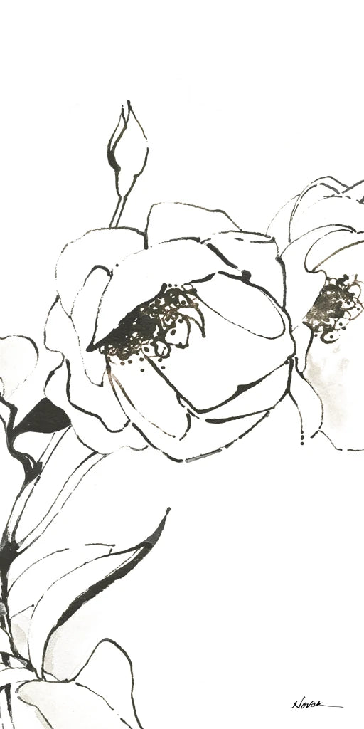 Sketch of Roses Panel III by Shirley Novak