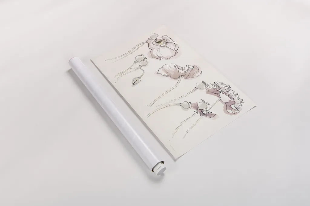 Somniferums Neutral Crop by Shirley Novak. shown as a rolled paper print. Available as archival giclee rolled canvas, fine art paper, or poster print. SKU 59556i.