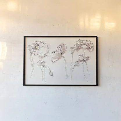 Somniferums Neutral Crop by Shirley Novak. shown as a paper print in a black flame. Available as a archival giclee rolled canvas, fine art paper, or poster print. SKU 59556i.