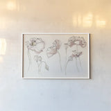 Somniferums Neutral Crop by Shirley Novak. shown as a paper print in a white frame. Available as a archival giclee rolled canvas, fine art paper, or poster print. SKU 59556i.