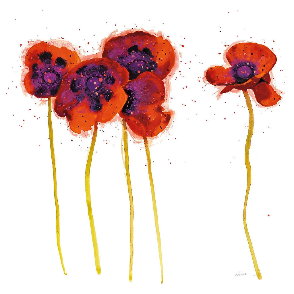 Splash Garden II on White by Shirley Novak. SKU 29736a. Archival Giclee Fine art print for wall decor.