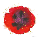 Splash IV with Gold by Shirley Novak. SKU 29783a. Archival Giclee Fine art print for wall decor.
