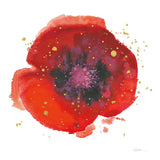 Splash V with Gold by Shirley Novak. SKU 29784a. Archival Giclee Fine art print for wall decor.