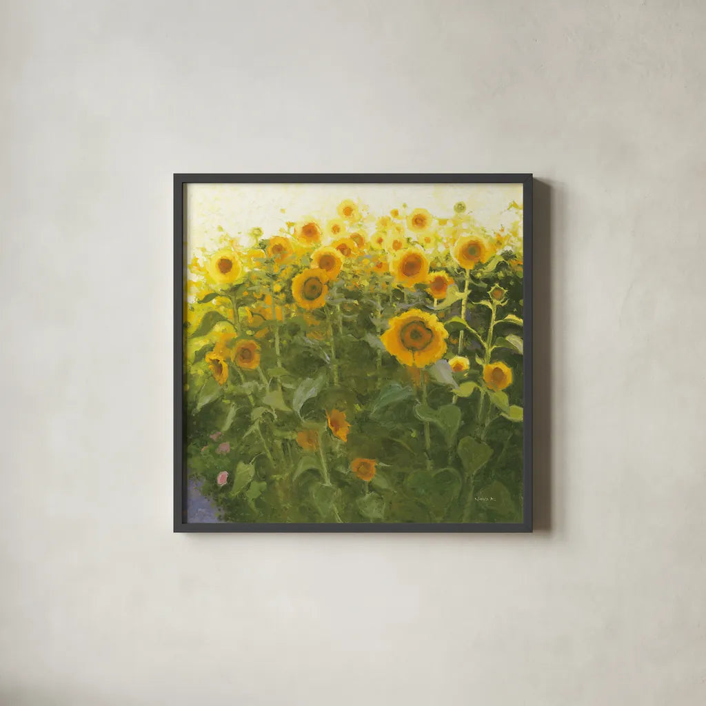 Sunflower Field by Shirley Novak. Shown in a sleek black glass frame for a contemporary gallery look. Available as an archival giclee rolled canvas, fine art paper, or poster print. SKU 53132a.