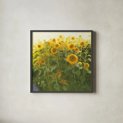 Sunflower Field by Shirley Novak. Shown in a sleek black glass frame for a contemporary gallery look. Available as an archival giclee rolled canvas, fine art paper, or poster print. SKU 53132a.