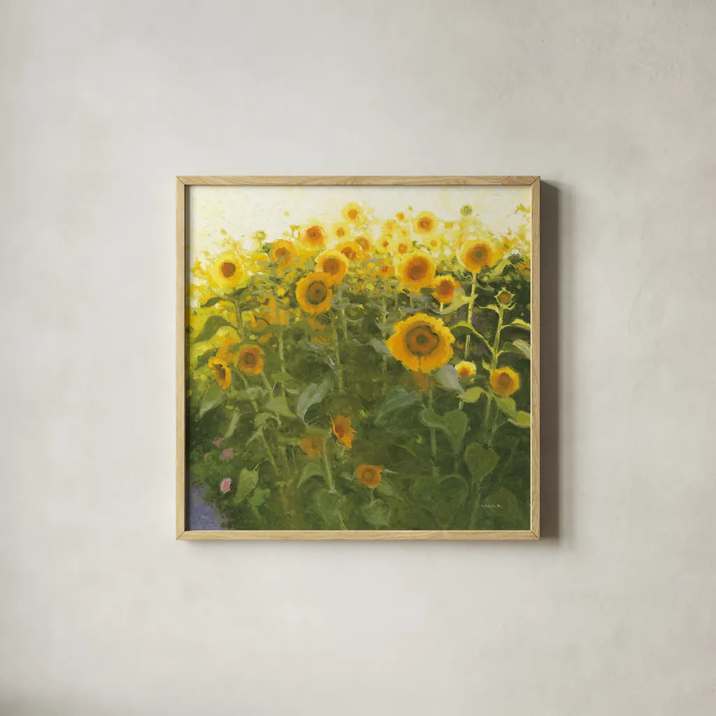 Sunflower Field by Shirley Novak. Shown in a natural wood glass frame for a timeless modern aesthetic. Available as an archival giclee rolled canvas, fine art paper, or poster print. SKU 53132a.