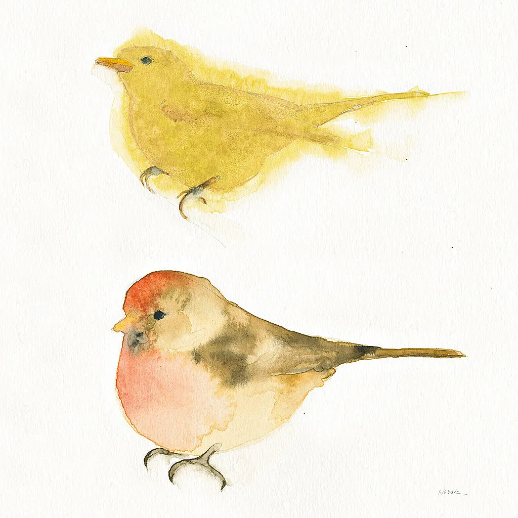 Watercolor Birds I Sq by Shirley Novak. SKU 32647a. Archival Giclee Fine art print for wall decor.