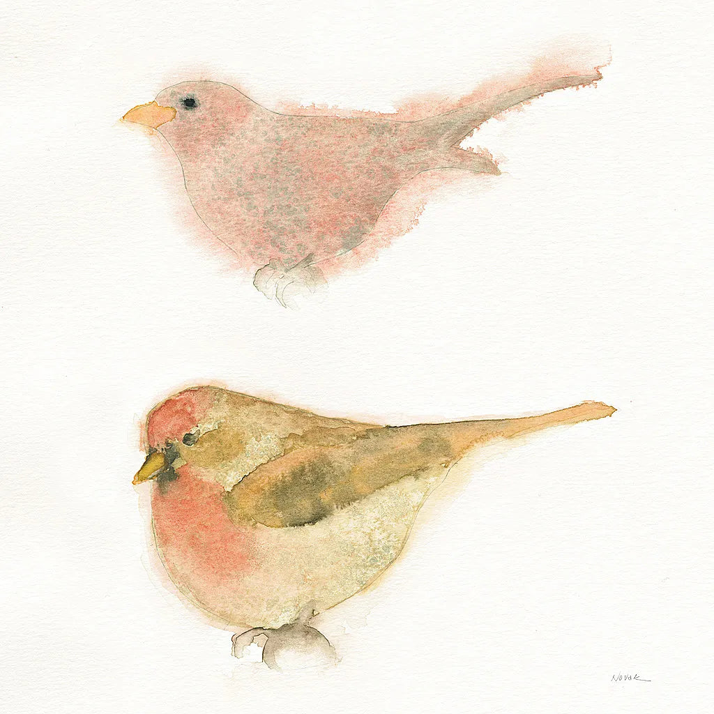 Watercolor Birds II Sq by Shirley Novak. SKU 32648a. Archival Giclee Fine art print for wall decor.