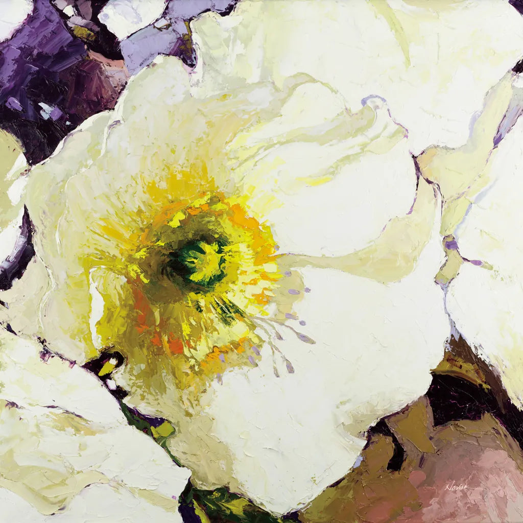 White Poppies Up Close by Shirley Novak. SKU 90696a. Archival Giclee Fine art print for wall decor.