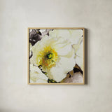 White Poppies Up Close Neutral by Shirley Novak. Shown in a natural wood glass frame for a timeless modern aesthetic. Available as an archival giclee rolled canvas, fine art paper, or poster print. SKU 91408a.