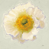 White Poppy Bit by Shirley Novak. SKU 11827a. Archival Giclee Fine art print for wall decor.