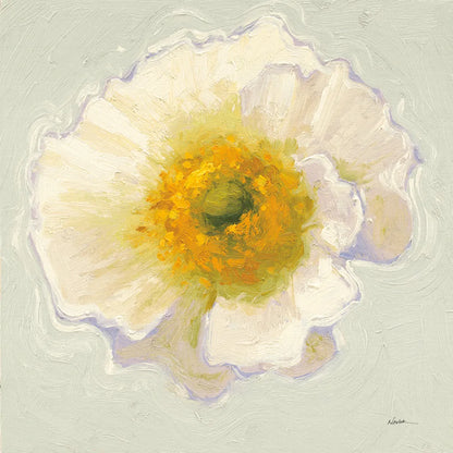 White Poppy Bit by Shirley Novak. SKU 11827a. Archival Giclee Fine art print for wall decor.