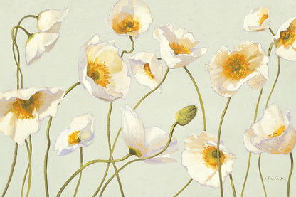 White and Bright Poppies by Shirley Novak. SKU 11576i. Archival Giclee Fine art print for wall decor.