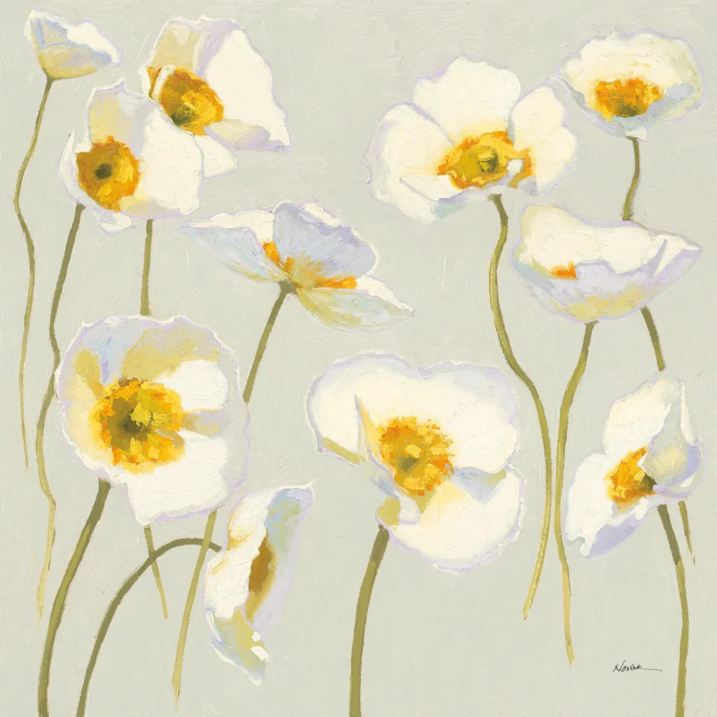 White on White Poppies by Shirley Novak. SKU 11389a. Archival Giclee Fine art print for wall decor.