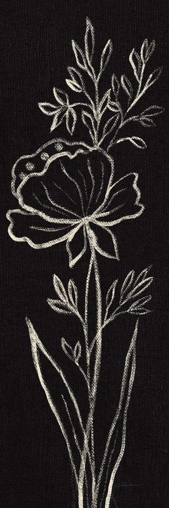 Black Floral III Crop by Silvia Vassileva