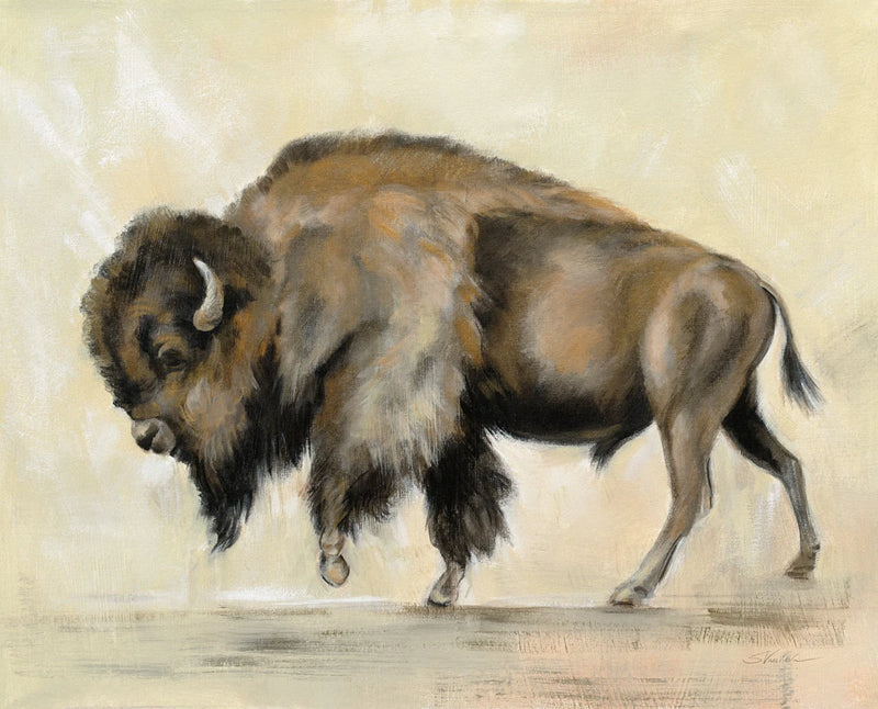 Bronze Buffalo by Silvia Vassileva