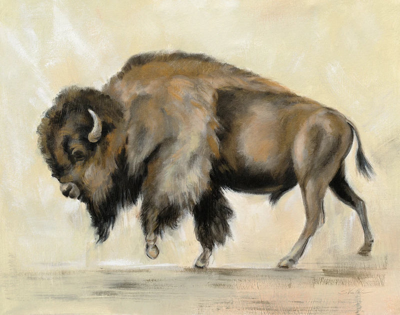 Bronze Buffalo Crop by Silvia Vassileva